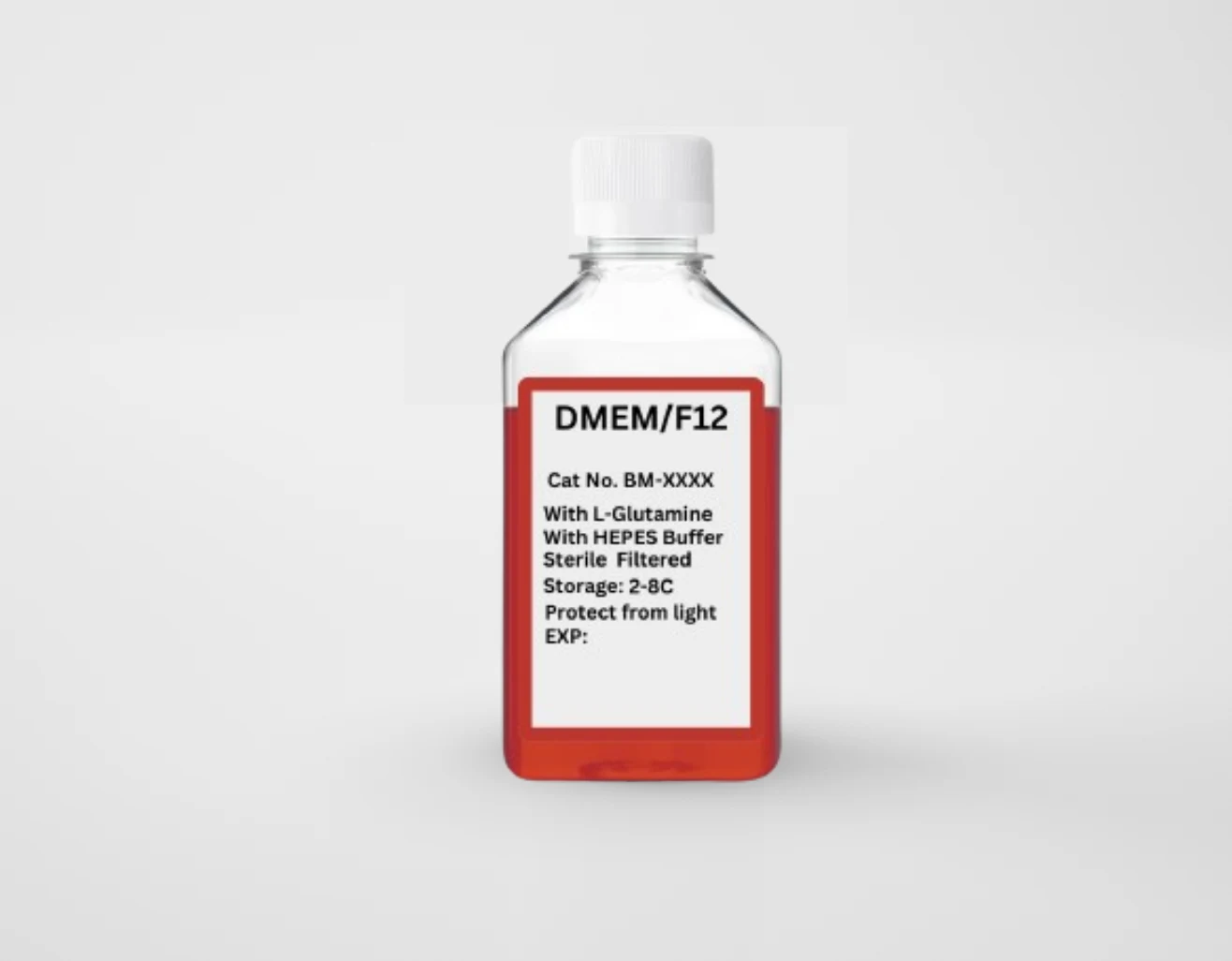 DMEM/F12