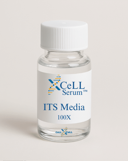 XCeLL ITS Media ™