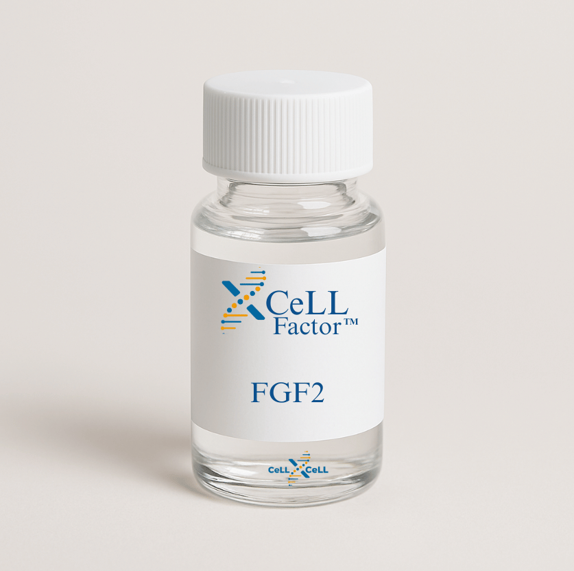 XCeLL Factor™ FGF2
